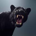 cantgetabreak2 avatar