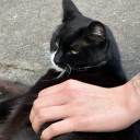 cantstopdontwanttoeither avatar