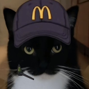 capriciousibre avatar