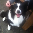 capslockfetishqueen avatar