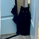 capt-coffeebitch avatar