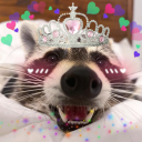 capt-trashpanda avatar