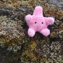 captaingeapea avatar