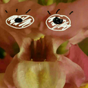 captainhowshouldiknow avatar