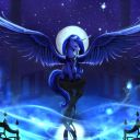 captainpookie338 avatar