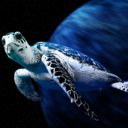 captainturtle avatar