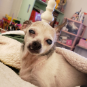 captivatingcollisions avatar