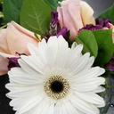 captncalamity avatar