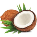 cardcaptorcoconut avatar