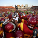 cardinal-and-gold avatar