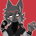 carefulcactus avatar