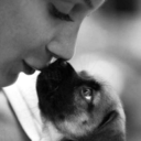 carllaadriana avatar