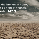 carlosarguetta avatar