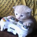 carlys-corner avatar