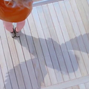 carmencita102 avatar