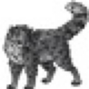 carneliandragon avatar