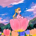 carousel-of-memories avatar