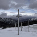 carpendies-blog avatar