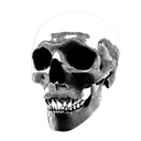 cartersurfboards avatar