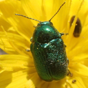 casperwyomingxer avatar