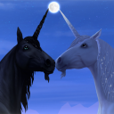 cass-windfeild avatar