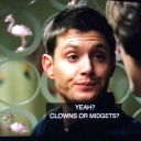 castiellwinchester avatar