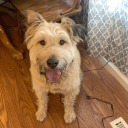 castielspsychnerd avatar