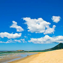 casualbluebirdrunaway avatar