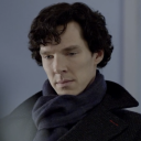 cat-in-a-rainstorm avatar