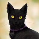 cat-sidhe-silvie avatar