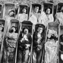 catalytic-chamber-blog avatar