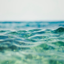 catarinapvitorino avatar