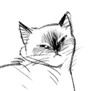 catboydisorder avatar