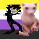 catboygamzee avatar