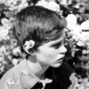 catching-the-fog-of-war avatar