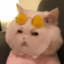 catetoky avatar