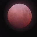 catharsisted-blog avatar