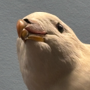 catherine-151 avatar