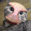 catlord avatar