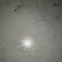 catnapncnfppch3tacn avatar