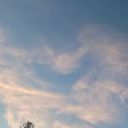 cats-fluorescent avatar