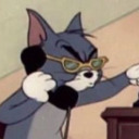 cats-of-china avatar