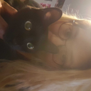 catzincontrol avatar