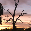 caught-me-monologuing avatar