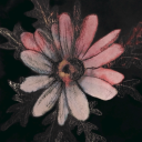 cauldron-burn-and-fire-bubble avatar