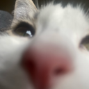 cauldroncreations avatar