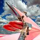 cauldrongraphixblog avatar