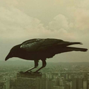 ccslacker-blog avatar