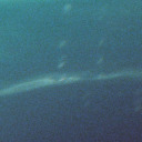 cellelelelllserieys avatar