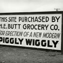 cellophaneenigma avatar